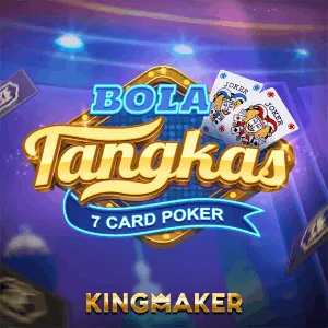 Poker Provider 1